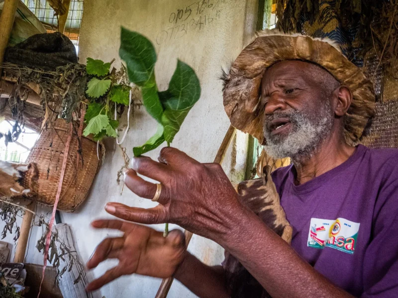 Traditional healer explaining medicinal plants on a Buhoma community walk