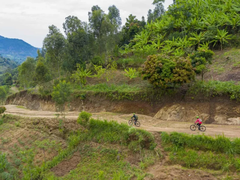 Cyclists riding a dirt road on the Congo Nile Trail in Rwanda