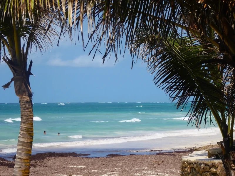Palm trees framing the turquoise sea at Diani Beach on Kenya’s south coast