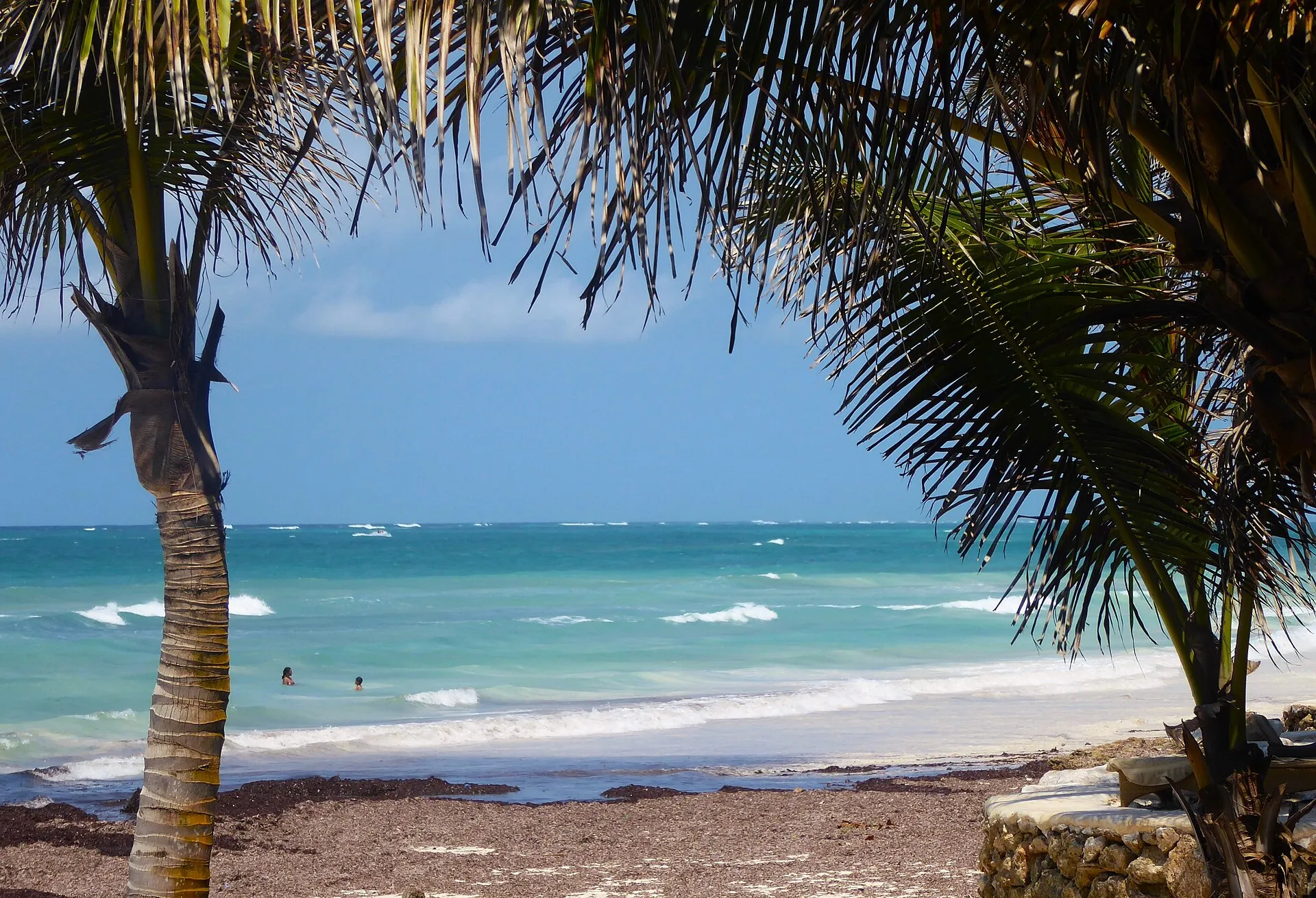 Palm trees framing the turquoise sea at Diani Beach on Kenya’s south coast