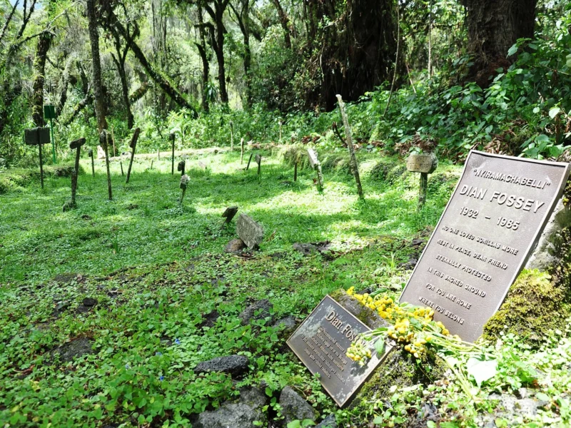 Dian Fossey's grave at the former Karisoke research camp