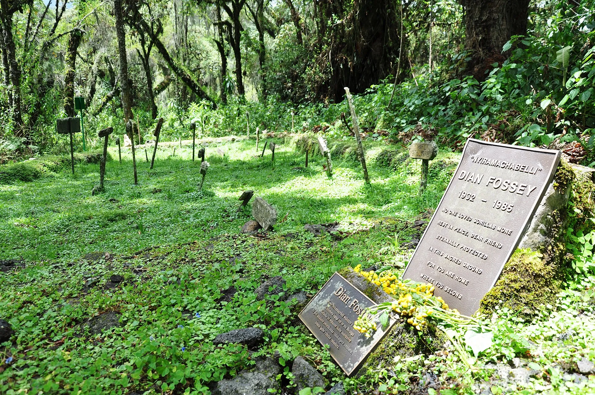 Dian Fossey's grave at the former Karisoke research camp