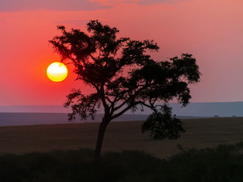 Mara Sunset