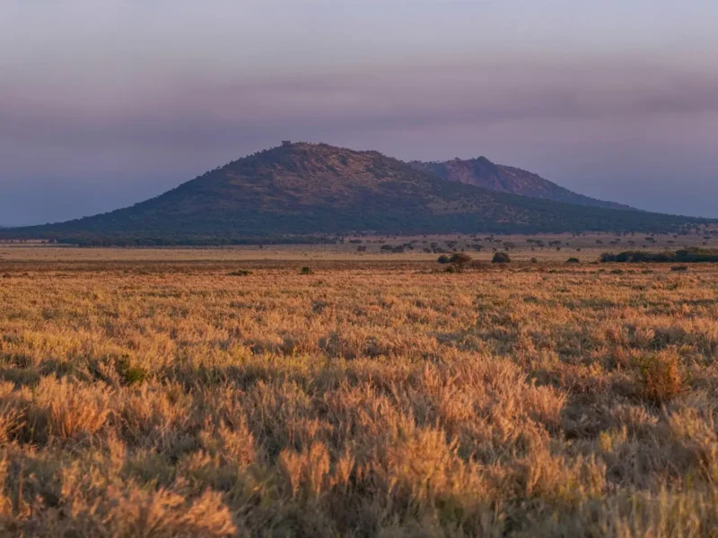 Serengeti Sunrise