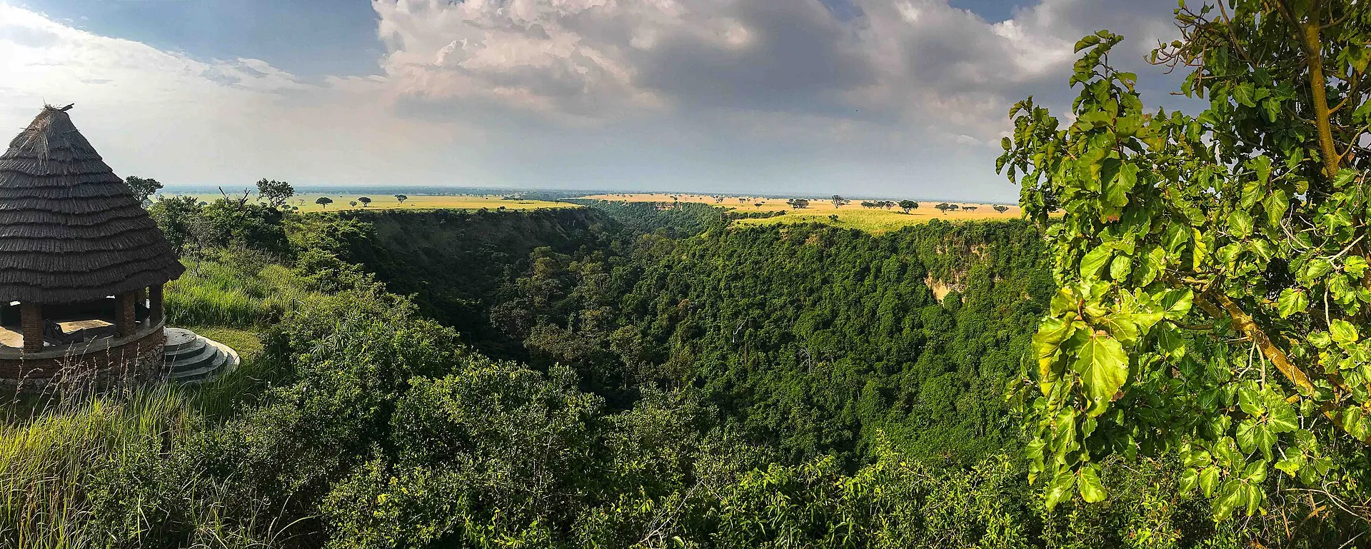 The forested Kyambura Gorge cutting through the savannah of Queen Elizabeth National Park