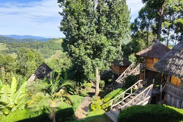 Cottages at Agandi Eco Lodge on the hills of Ruhija