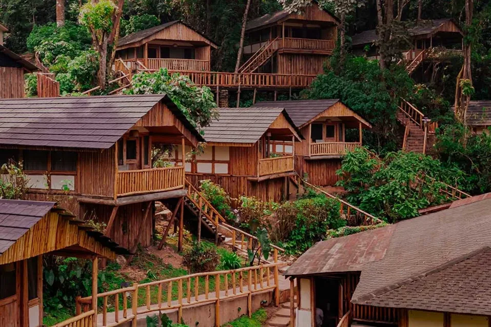 Chalets of Buhoma Lodge among the trees in Bwindi