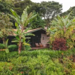 Guest cottage in the tropical garden at Gibb's Farm, Karatu