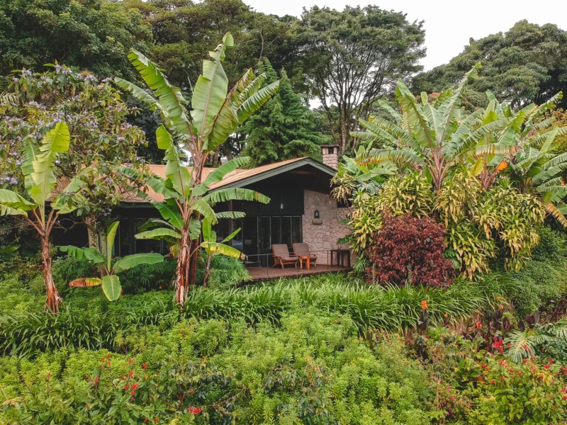 Guest cottage in the tropical garden at Gibb's Farm, Karatu