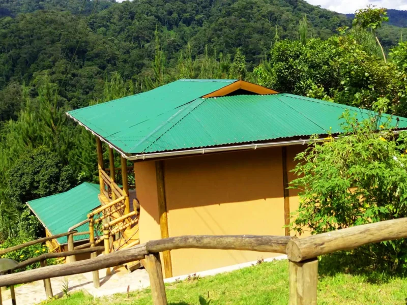 Cottage at Ichumbi Gorilla Lodge, Rushaga