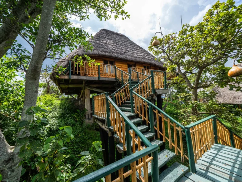 Thatched log cabin on stilts at Kyaninga Lodge