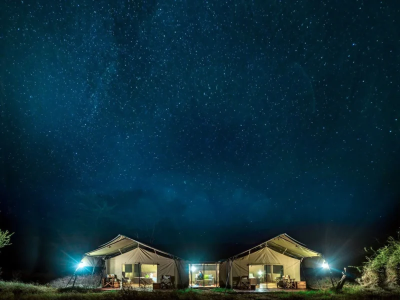 Tents of Lemala Ewanjan under the night sky, central Serengeti