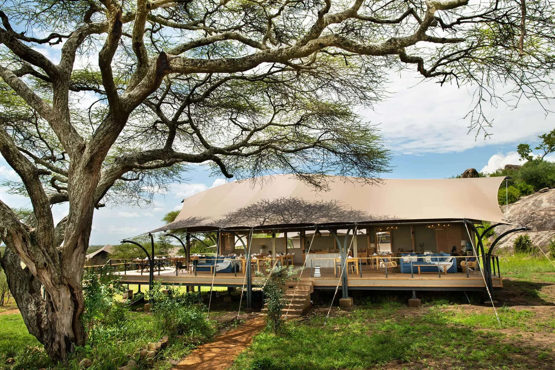 Main area of Lemala Nanyukie under a giant acacia, eastern Serengeti