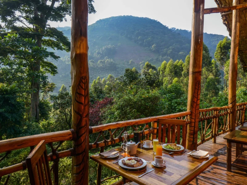Dining deck at Mahogany Springs Lodge overlooking Bwindi forest