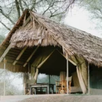 Thatched tent at Tarangire Safari Lodge