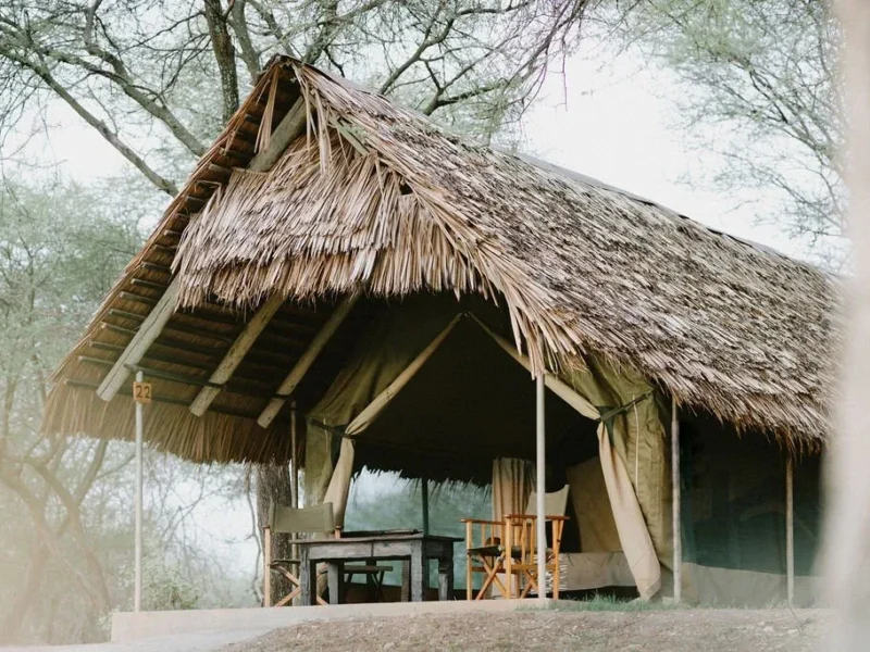 Thatched tent at Tarangire Safari Lodge