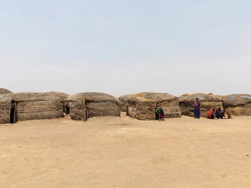 Low mud-and-thatch houses inside a Maasai village enclosure