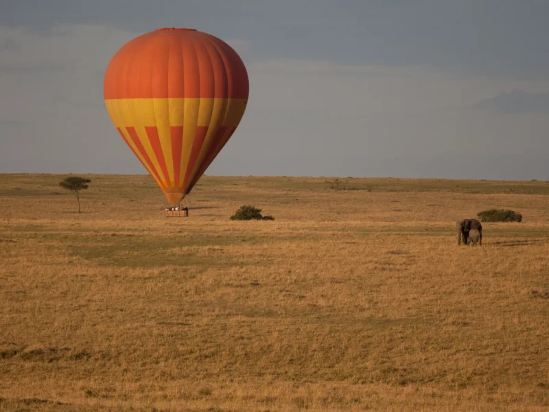 Hot-air balloon landing on the grassy plains of the Masai Mara