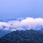 Low clouds over the forested ridges of Nyungwe National Park