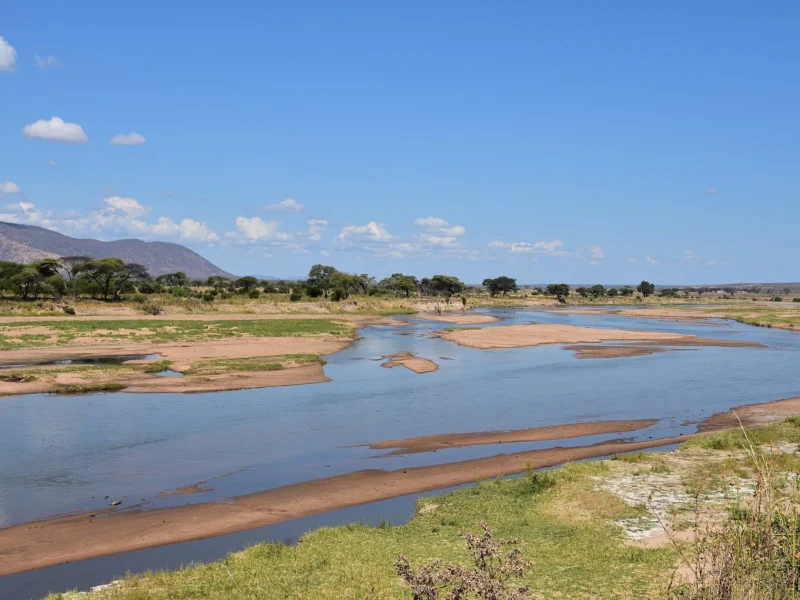 The wide, sandy Great Ruaha River winding through Ruaha National Park