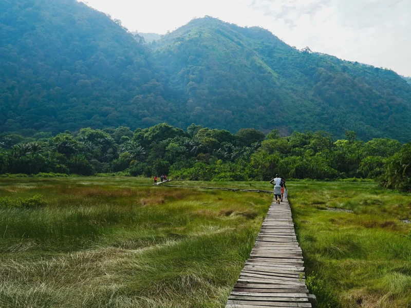 Boardwalk through the wetland to the Sempaya hot springs in Semuliki National Park