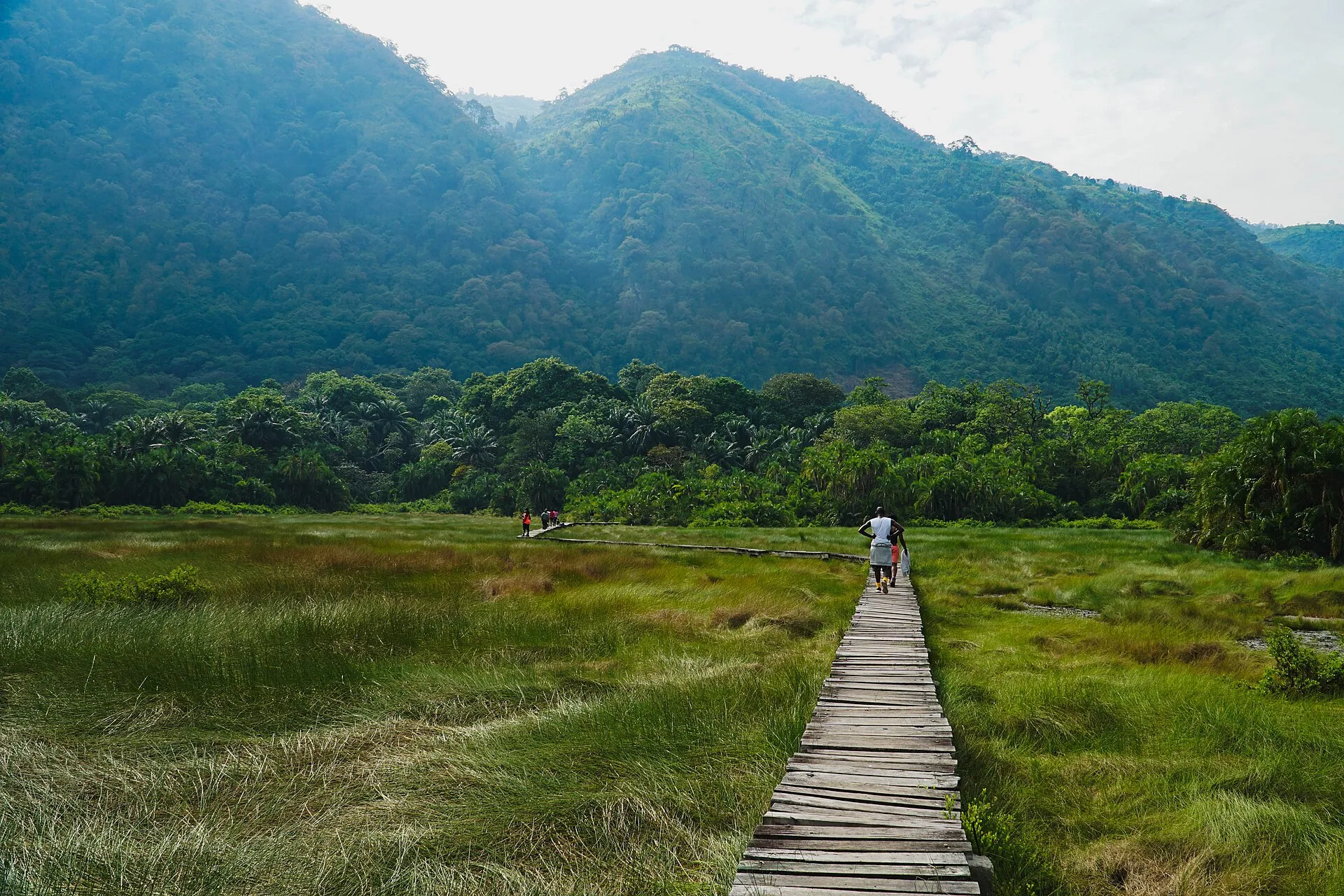 Boardwalk through the wetland to the Sempaya hot springs in Semuliki National Park