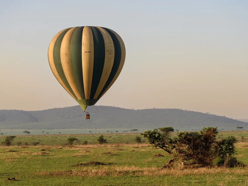 Hot-air balloon floating above the Serengeti plains at sunrise