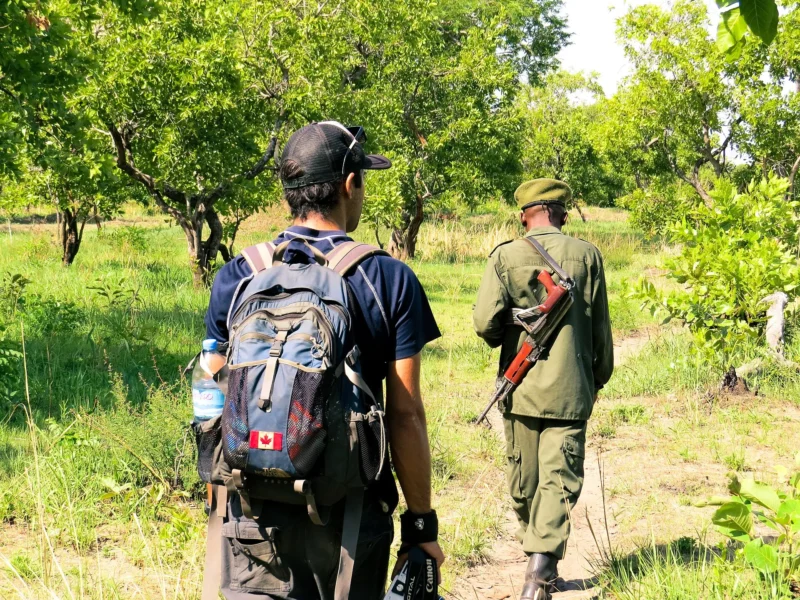 Visitor on a walking safari following an armed ranger in Katavi National Park