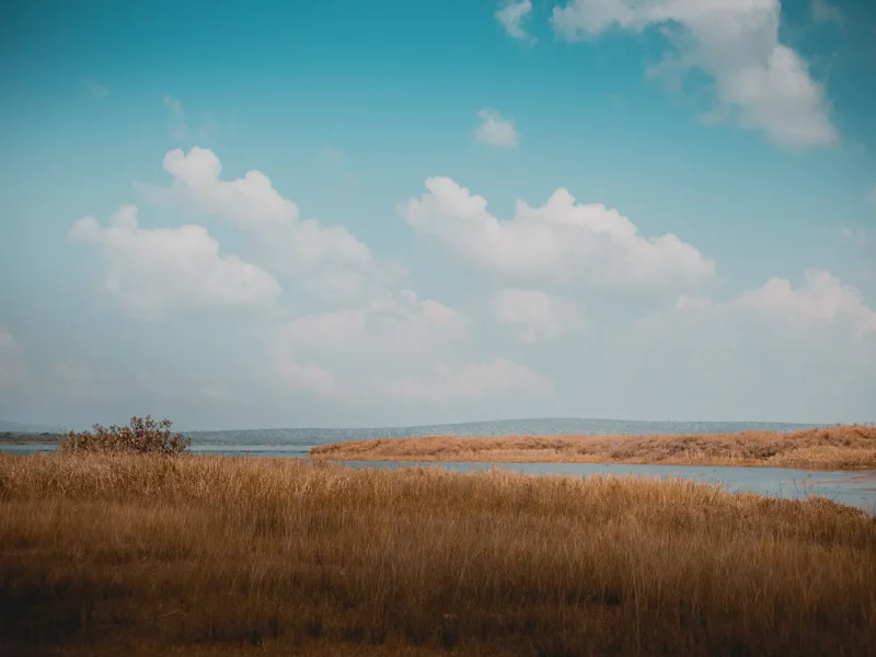 Akagera National Park