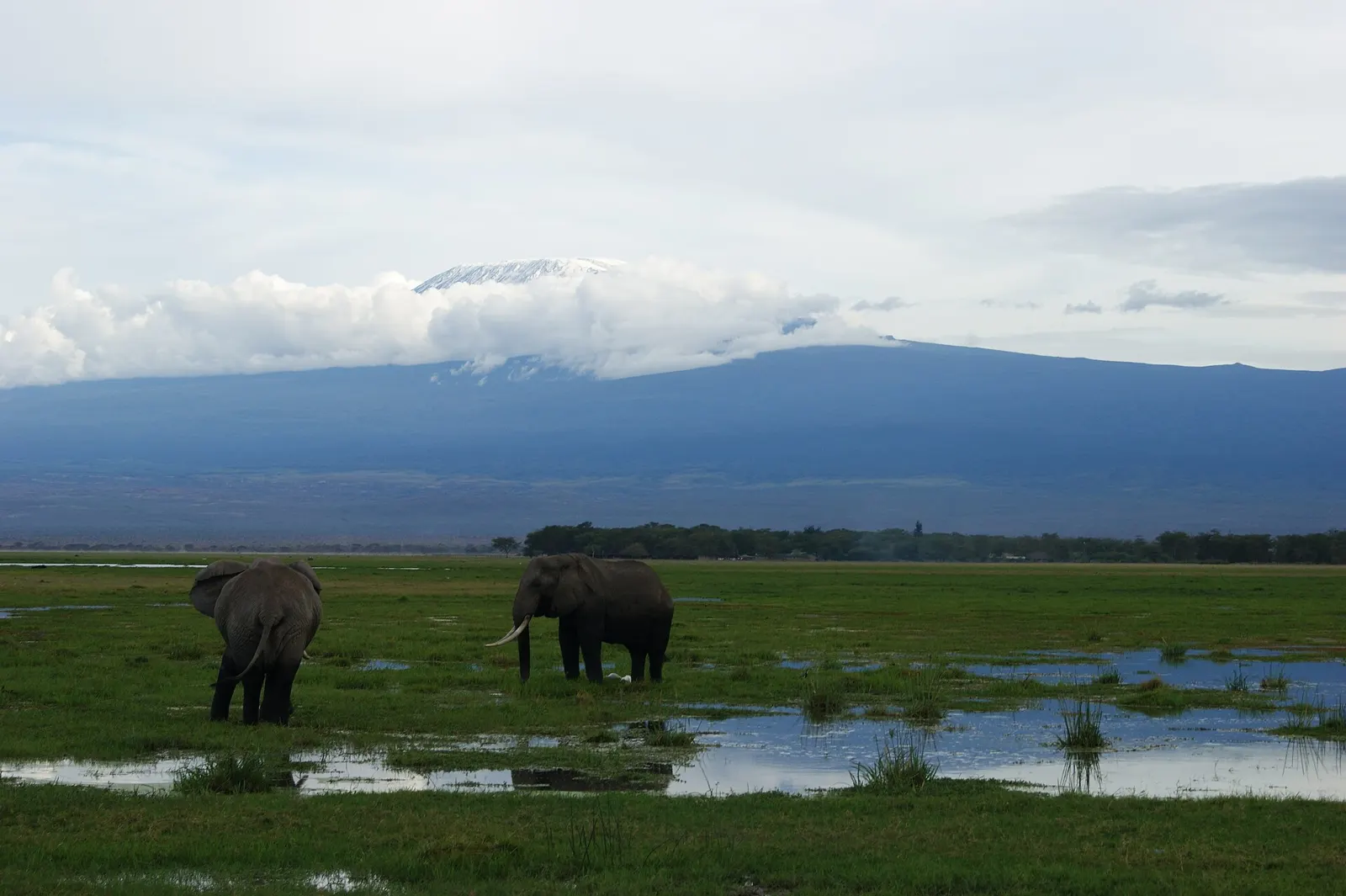 Uganda + Kenya
