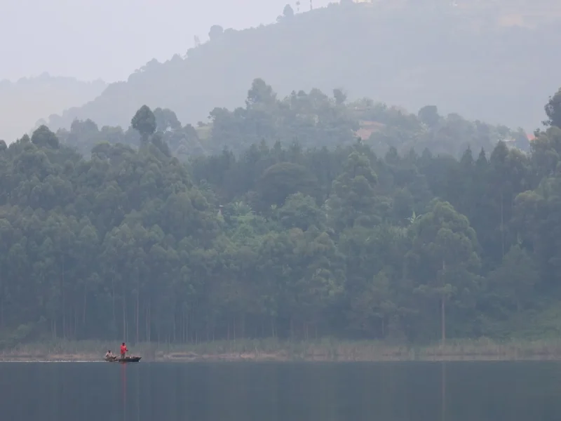 4-Day Mabamba Shoebill, Bwindi Gorilla & Batwa Cultural Safari photo