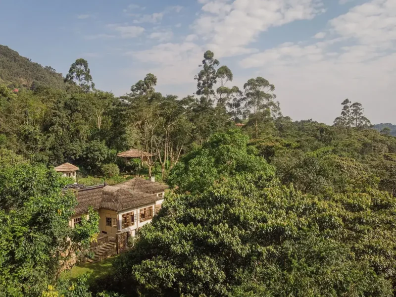 Bwindi Lodge buildings among forest at Buhoma