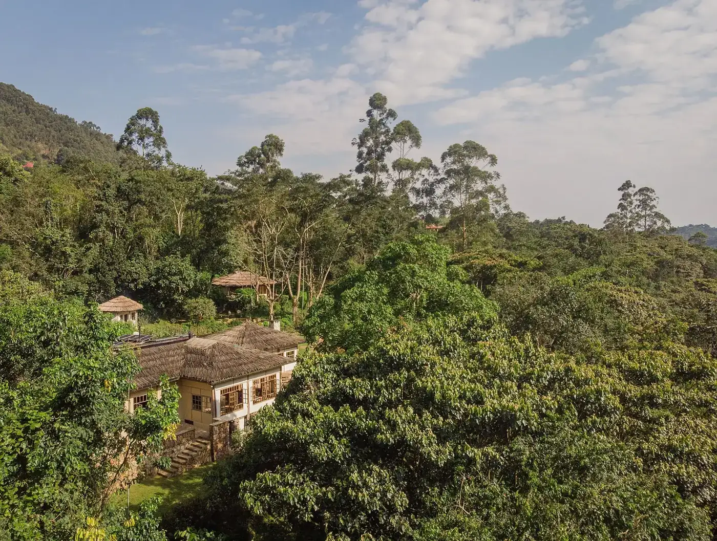 Bwindi Lodge buildings among forest at Buhoma